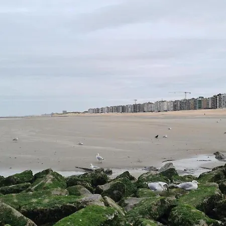 In Nieuwpoort By The Seafront