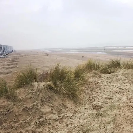 In Nieuwpoort By The Seafront Lejlighed Koksijde